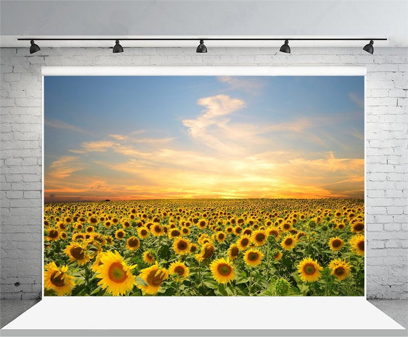 LFEEY 7x5ft Vinyl Sunflowers Field Backdrops for Photography Background Summer Landscape Sunset Blue Sky Outdoor Holiday Party Backdrop Children Adults Portraits Photo Studio - Image 3